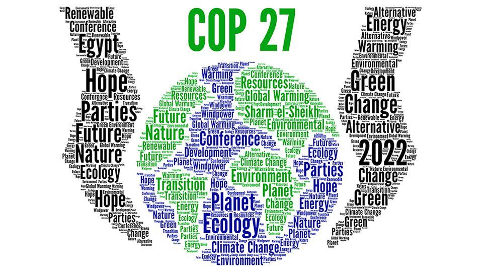 COP27 24 Hours In.... - Prickly Thistle