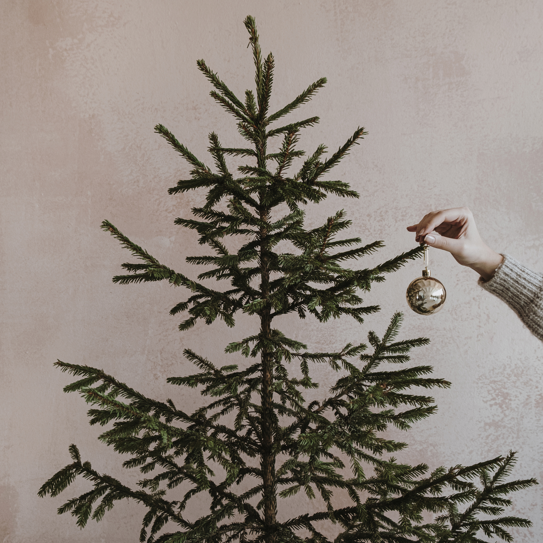 PREVIEW VIR Holiday Gift