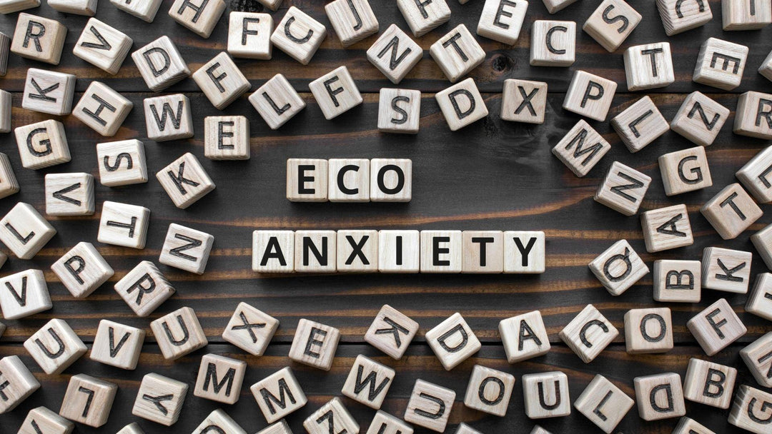 Making Sense of Eco Anxiety