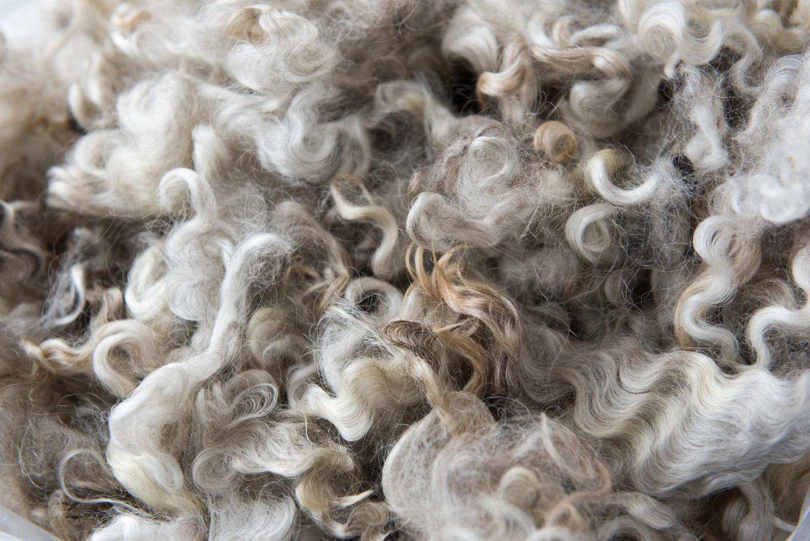 Caring for Wool – A Mutually Beneficial Relationship - Prickly Thistle