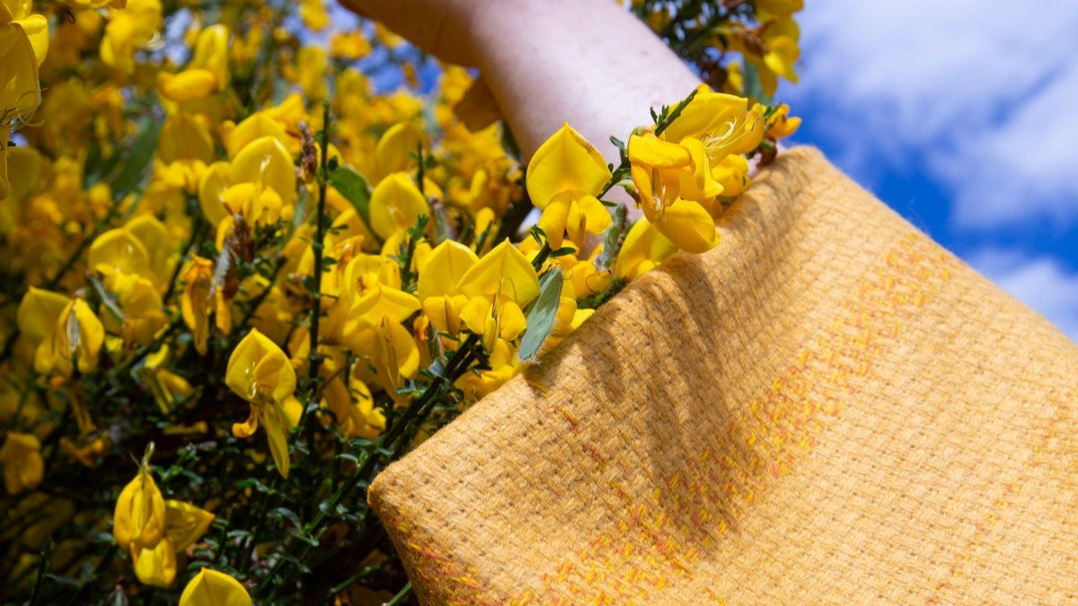 Learning How To Be A Sustainable Rebel: Our Top 5 Favourite Instagram Accounts - Prickly Thistle